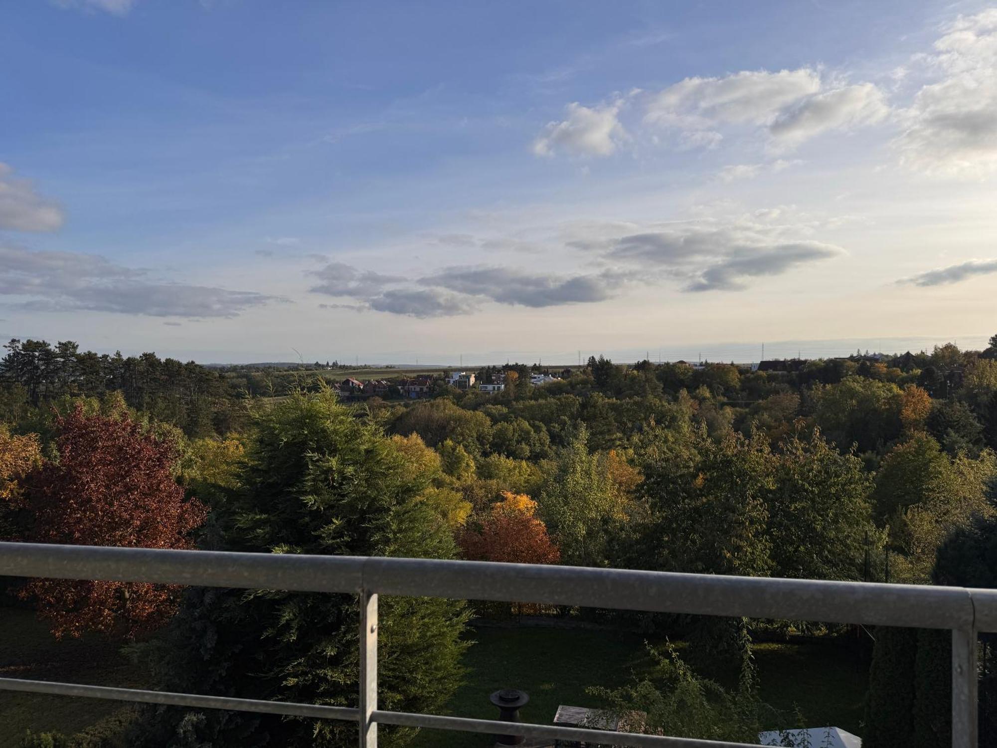 Diamondvilla, 4 Bedroom Apartment, Garden & Spa Prag Dış mekan fotoğraf